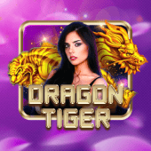 Dragon Tiger zone casino live dealer