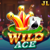 Wild Ace zone casino slot
